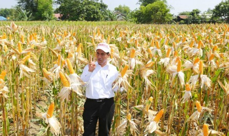 Menteri Pertanian Amran Sulaiman di lokasi peringatan Hari Pangan Sedunia XXXVIII di Banjarbaru, Kalimantan Selatan, Rabu (17/10).