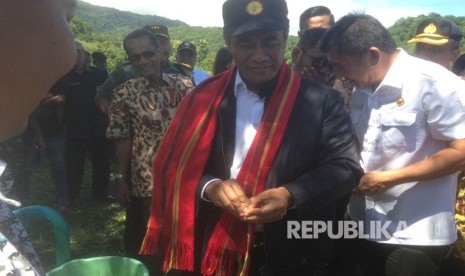 Menteri Pertanian Amran Sulaiman ikut memanen kacang tanah di desa kenebibi, Kabupaten Belu, NTT.