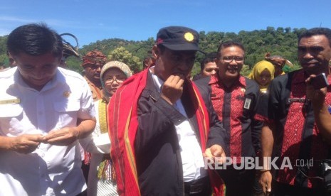 Menteri Pertanian Amran Sulaiman ikut memanen kacang tanah di desa kenebibi, Kabupaten Belu, NTT.