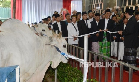 Menteri Pertanian Amran Sulaiman (kedua kanan) yang mewakili Presiden Joko Widodo menyerahkan sapi kurban kepada perwakilan DKM Masjid Istiqlal, Jakarta, Senin (12/9).