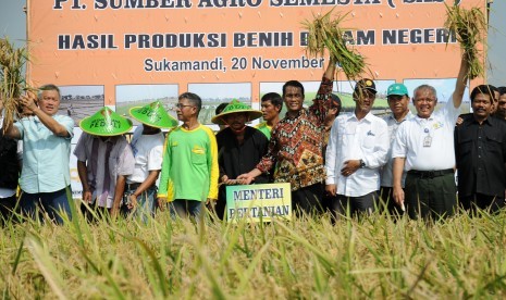 Menteri Pertanian Amran Sulaiman (kelima kanan) bersama Founder Artha Graha Peduli (AGP) Tomy Winata (kiri) dan Gapoktan Tani Maju Cimalaya memanen padi hibrida di Desa Sukamandi, Kecamatan Ciasem, Kabupaten Subang, Jawa Barat, Jumat (20/11).