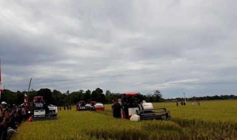 Menteri Pertanian Amran Sulaiman memimpin panen raya seluas 400 hektare di Desa Tanete, Kecamatan Simbang, Kabupaten Maros, Sulawesi Selatan. 