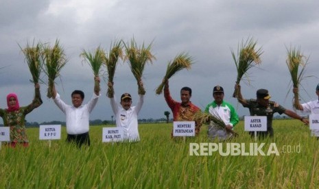 Menteri Pertanian Amran Sulaiman menghadiri kegiatan panen raya di Desa Wotan, Kecamatan Sukolilo, Pati, Jawa Tengah, Rabu (7/2). 