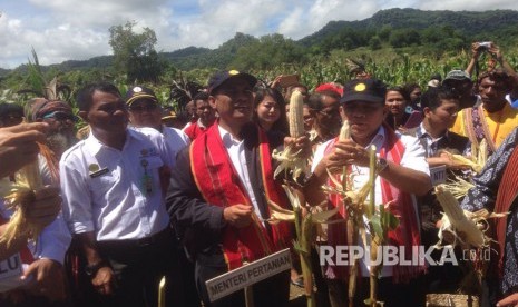 Menteri Pertanian Amran Sulaiman menghadiri panen raya jagung. (Ilustrasi).