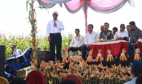 Menteri Pertanian Amran Sulaiman menghadiri panen raya jagung di Kabupaten Lamongan, tepatnya di Desa Mojorejo Kecamatan Modo Kabupaten Lamongan, Rabu (6/2).  