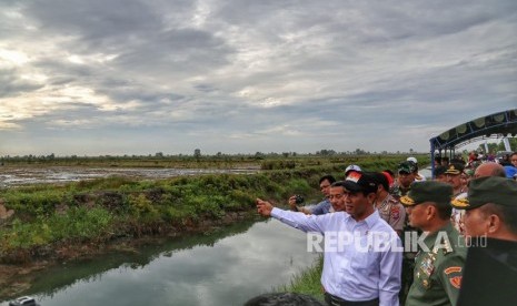 Menteri Pertanian Amran Sulaiman meninjau lahan rawa di Kabupaten Barito Kuala Kalimantan Selatan  yang akan dijadikan lokasi Hari Pangan Sedunia 2018, Jumat (29/6).