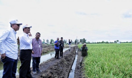 Menteri Pertanian Amran Sulaiman saat mengecek kesiapan pilot pengembangan lahan rawa di Desa Jejangkit, Kecamatan Jejangkit, Kabupaten Barito Kuala, Kalimantan Selatan, Selasa (16/10)