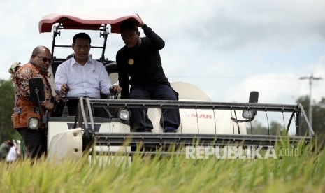 Menteri Pertanian Amran Sulaiman (tengah), bersama Gubernur Papua, Lukas Enembe (kiri), dan petani operator melakukan panen dengan mesin Combine Harvester usai melakukan pelepasan ekspor perdana beras ke Papua New Guine di Distrik Tanah Miring, Kabupaten M