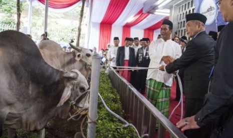 Menteri Pertanian Amran Sulaiman (tengah) mewakili Wakil Presiden Jusuf Kalla menyerahkan hewan kurban kepada Ketua Badan Pelaksana Pengelola Masjid Istiqlal Mubarak (kanan) seusai salat Idul Adha 1436 H di Masjid Istiqlal, Jakarta, Kamis (24/9). 