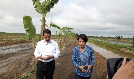 Menteri Pertanian Andi Amran Suilaiman berjalan di sekitar lahan rawa yang dijadikan sawah.