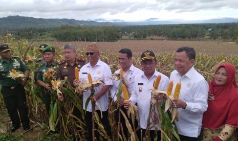 Menteri Pertanian Andi Amran Sulaiman didampingi Gubernur Gorontalo Rusli Habibie dan sejumlah pejabat terkait tengah melakukan panen raya jagung, di Kabupaten Gorontalo, Provinsi Gorontalo, Rabu (230/1). 