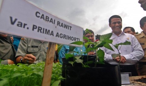 Menteri Pertanian Andi Amran Sulaiman (kanan) mencanangkan Gerakan Nasional Penanaman Cabai (Gertam Cabai) di Bergas, Kabupaten Semarang, Jawa Tengah, Senin (23/1).