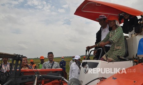 Menteri Pertanian Andi Amran Sulaiman melakukan panen padi di lahan rawa lebak yang terletak di Desa Pelabuhan Dalam Kabupaten Ogan Ilir , Selain panen, Amran Sulaiman juga mengajari seorang petani perempuan Juriah untuk menjadi operator mengemudikan combine harvester (mesin panen padi). Kamis (12/10).