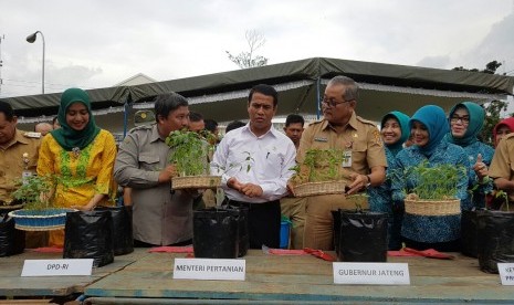 Menteri Pertanian Andi Amran Sulaiman melakukan penanaman cabai secara simbolis saat pencanangan Gerakan Nasional Penanaman Cabai (Gertam Cabai) di Balai Pengkajian Teknologi Pertanian (BPTP) Jawa Tengah, di Semarang, Senin (23/1).