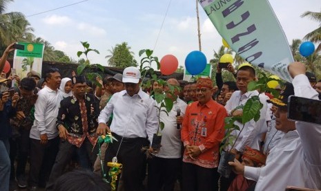 Menteri Pertanian Andi Amran Sulaiman meluncurkan program pemberian bibit unggul sebesar 500 juta selama lima tahun atau Bun500, di Palangka Raya, Kalimantan Tengah, Kamis (18/7). 