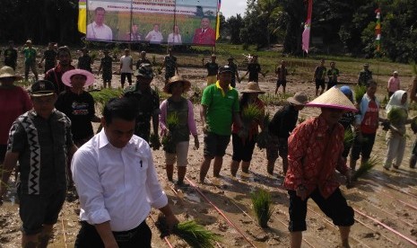 Menteri Pertanian, Andi Amran Sulaiman menanam padi hazton di Dusun Gunung Senyang, Desa Semanget, Kecamatan Entikong, Kabupaten Sanggau, Kalimantan Barat, Sabtu (21/10).