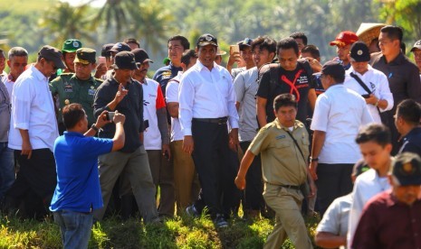 Menteri Pertanian Andi Amran Sulaiman meninjau panen raya dan mengecek harga gabah di daerah-daerah di Jawa Barat, Selasa (6/2).