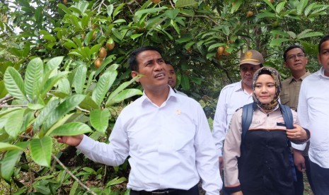 Menteri Pertanian Andi Amran Sulaiman meninjau potensi pertanian di Konawe Kepulauan.