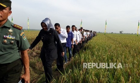 Menteri Pertanian Andi Amran Sulaiman menyaksikan panen seluas 800 hektare di Kecamatan Karawang Barat, Kabupaten Karawang, Jawa Barat, Rabu (3/1).