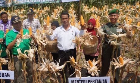 Menteri Pertanian (Mentan) Amran Sulaiman bersama Bupati Tuban, Fahtul Hudan dan Pangdam V Brawijaya, Mayjen TNI Sumardi dan Kepala dinas provinsi jatim Wibowo Eko Putro turut menyaksikan panen di desa Tuban, Rabu (30/9).