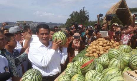 Menteri Pertanian (Mentan), Amran Sulaiman tengah meninjau tanaman holtikultura di Balai Tanaman dan Sayuran (Balitsa) Lembang, Kabupaten Bandung Barat, Kamis (20/9).