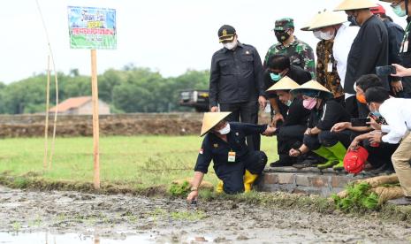 Menteri Pertanian (Mentan) sekaligus sebagai Menteri Kelautan dan Perikanan Ad Interim, Syahrul Yasin Limpo (SYL) bersama anggota Komisi IV DPR RI, Luluk Nur Hamidah meninjau kawasan pertanian dengan budidaya Integrated Farming yang dikembangkan petani di Desa Kragan, Gedongrejo, Kabupaten Karanganyar dan di Desa Giri Roto, Kecamatan Ngemplak, Boyolali, Sabtu (19/12).