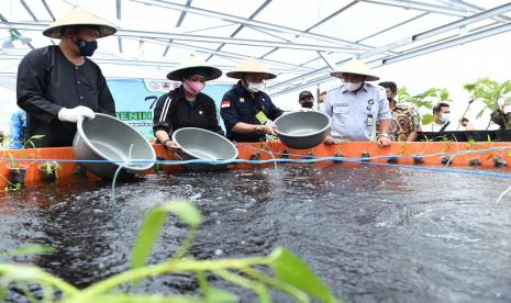 Menteri Pertanian (Mentan) sekaligus sebagai Menteri Kelautan dan Perikanan Ad Interim, Syahrul Yasin Limpo (SYL) bersama anggota Komisi IV DPR RI, Luluk Nur Hamidah meninjau kawasan pertanian dengan budidaya Integrated Farming yang dikembangkan petani di Desa Kragan, Gedongrejo, Kabupaten Karanganyar dan di Desa Giri Roto, Kecamatan Ngemplak, Boyolali, Sabtu (19/12).