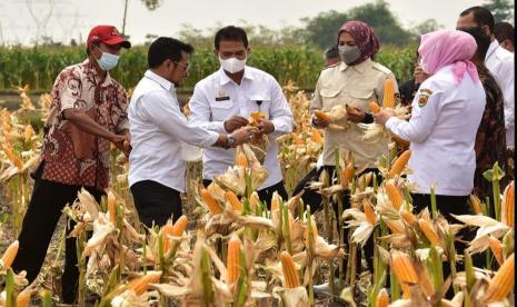 Menteri Pertanian (Mentan), Syahrul Yasin Limpo (berkacamata), saat melaksanakan kegiatan Panen Jagung Nusantara yang dipusatkan di Desa Banjarsari, Kecamatan Kradenan, Kabupaten Grobogan, Jawa Tengah, Rabu (29/9).