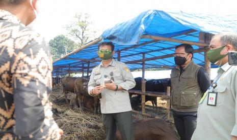 Menteri Pertanian (Mentan) Syahrul Yasin Limpo bersama Wali Kota Bogor mengunjungi depo 1000 sapi kurban di Jalan Soleh Iskandar, Tanah Sereal, Kota Bogor, Jawa Barat. Di sana, Mentan memantau pergerakan jual beli hewan serta memastikan kesehatan dan ketersediaannya untuk memenuhi kebutuhan hari raya Idhul Adha 2021.