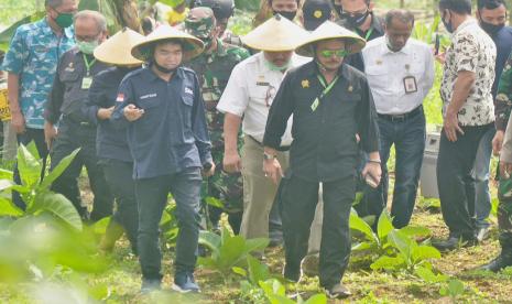 Menteri Pertanian Syahrul Yasin Limpo (depan) berdialog dengan Ketua Pusat Pelatihan Pertanian dan Perdesaan Swadaya (P4S) Citra Muda Getasan, Sofyan Adi Cahyono di sela meninjau kebun Sayuran Organik Merbabu (SOM) di Dusun Sidomukti, Desa Kopeng, Kecamatan Getasan, Kabupaten Semarang, Sabtu (27/6). Mentan ingin polsa budidaya SOM dikembangkan di daerah lain guna memperkuat perekonomian nasional dari sektor pertanian.