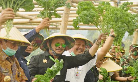  Menteri Pertanian (Mentan) Syahrul Yasin Limpo memanen sayur kale, di kebun Sayur Organik Merbabu (SOM) Kelompok Tani Citra Muda, Dusun Sidomukti, Desa Kopeng, Kecamatan Getasan, Kabupaten Semarang, Jawa Tengah, Sabtu (27/6). Mentan menegaskan sektor pertanian memiliki peluang besar menjadi penyangga ekonomi nasional di era kenormalan baru Covid-19.