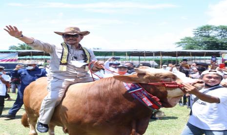 Menteri Pertanian (Mentan) Syahrul Yasin Limpo mendorong Provinsi Lampung menjadi wilayah pertama yang mampu menghasilkan 300.000 bibit sapi dalam waktu yang sangat cepat. Hal tersebut disampaikan Mentan saat melakukan panen pedet di Kabupaten Lampung Tengah, Provinsi Lampung.