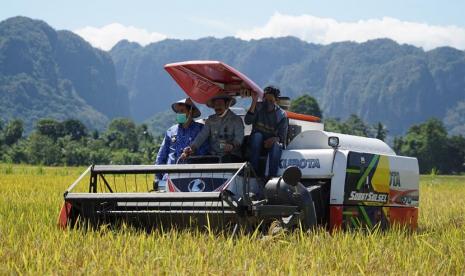 Menteri Pertanian (Mentan) Syahrul Yasin Limpo mengatakan bahwa panen raya untuk musim tanam kedua terjadi hampir di semua daerah. Terutama di sejumlah sentra padi seperti di Jawa Barat, Jawa Timur, Jawa Tengah, Sumatera Barat dan juga pulau Sulawesi.