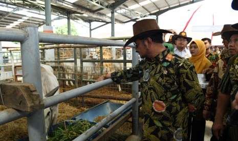 Menteri Pertanian (Mentan) Syahrul Yasin Limpo mengharapkan kucuran anggaran perbankan berbentuk Kredit Usaha Rakyat (KUR) untuk pengembangan inseminasi buatan (IB).