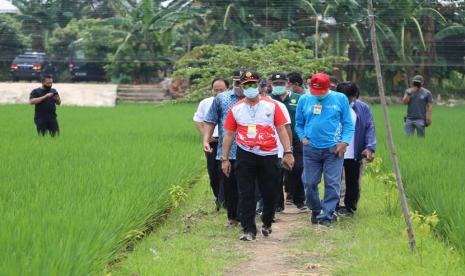 Menteri Pertanian (Mentan) Syahrul Yasin Limpo mengunjungi sawah abadi milik Dinas Ketahanan Pangan, Kelautan dan Pertanian Provinsi DKI Jakarta di Kawasan Cakung, Jakarta Timur, Sabtu (10/10). Dalam tinjauan ini, Mentan berharap Pemprov DKI terus mempertahankan sawah abadi dari derasnya pembangunan kota dan alih fungsi.