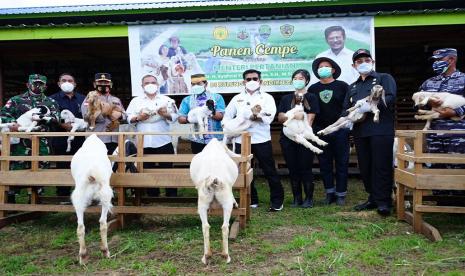 Menteri Pertanian (Mentan) Syahrul Yasin Limpo meninjau kegiatan panen Cempe Kambing Boer usia 4 bulan di Bulungan Mandiri Farm, Kalimantan Utara. Di sana Mentan memantau langsung proses peranakan sampai dengan proses penjualan.