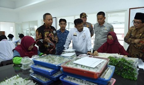 Menteri Pertanian (Mentan) Syahrul Yasin Limpo meninjau proses produksi benih jagung hibrida PT Benih Citra Asia (BCA) di Jalan Akmaludin, Jember, Jawa Timur.