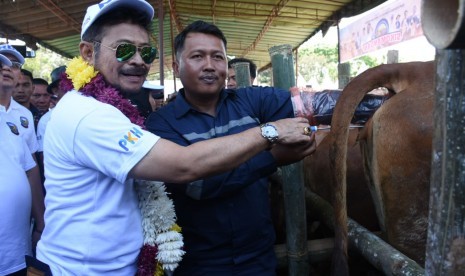 Menteri Pertanian (Mentan) Syahrul Yasin Limpo (SYL) melakukan panen 1000 ekor pedet sekaligus meluncurkan program Sapi Kerbau Komoditas Andalan Negeri (Sikomandan) di Kabupaten Serdang Bedagai - Sumatera Utara.