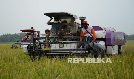 Menteri Pertanian (Mentan) Syahrul Yasin Limpo mengajak seluruh kampus dan perguruan tinggi di Indonesia untuk mengekspose inovasi berbasiskan teknologi dalam menguatkan dan meningkatkan produktivitas pangan nasional. (ilustrasi)