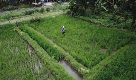 Menteri Pertanian (Mentan) Syarul Yasin Limpo (SYL) Kabupaten/Kota perlu menghitung kebutuhan pupuk di wilayahnya secara cermat sebelum mengajukan realokasi