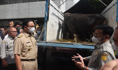 Menteri Pertanian Syahrul Yasin Limpo (kanan) bersama Gubernur DKI Jakarta Anies Baswedan (kedua kiri) melihat hewan ternak yang akan didistribusikan seusai penandatanganan nota kesepakatan dan peluncuran dukungan Kementerian Pertanian dalam penyediaan ternak kurban dan pangan strategis bagi wilayah DKI Jakarta di Gedung Kementan, Jakarta, Senin (4/7/2022). 