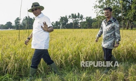 Menteri Pertanian Syahrul Yasin Limpo (kanan) bersama Kepala Staf Kepresidenan Moeldoko berjalan menuju lahan pertanian saat melakukan kunjungan kerja giat panen padi varietas Super Genjah M70D di Desa Curug, Klari, Karawang, Jawa Barat, Kamis (7/11/2019).