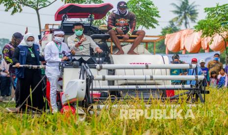 Menteri Pertanian Syahrul Yasin Limpo (kedua kanan) didampingi Wakil Ketua Komisi IV DPR RI Dedi Mulyadi (kedua kiri), Bupati Karawang Cellica Nurrachadiana (kiri) bersama perwakilan petani memanen padi menggunakan mesin panen (Combine Harvester) saat kunjungan kerja, di Desa Bayurlor, Cilamaya, Karawang, Jawa Barat, Sabtu (6/6/2020). Dalam kunjungannya, Menteri Pertanian Syahrul Yasin Limpo menegaskan peran pemerintah untuk memastikan kebutuhan pangan aman dan tercukupi bagi masyarakat dengan melakukan langkah strategis seperti gerakan percepatan tanam, diversifikasi pangan lokal, pengembangan rawa dan penyediaan cadangan beras.