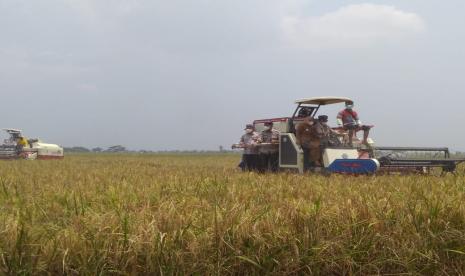 Menteri Pertanian, Syahrul Yasin Limpo melakukan panen dengan mesin combine di areal persawahan Desa Jagapura Wetan, Kecamatan Gegesik, Kabupaten Cirebon, dalam rangkaian Hari Pangan Sedunia ke -41, Senin (25/10).