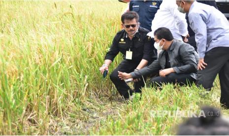 Menteri Pertanian Syahrul Yasin Limpo memberikan  arahan usai saat panen padi di Disktrik Tanah Miring, Merauke, (ilustrasi).