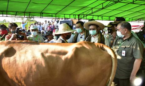 Menteri Pertanian Syahrul Yasin Limpo (Mentan SYL) bersama Gubernur NTB, Zulkieflimansyah, Bupati Lombok Tengah, Moh. Suhaili Fadhil Thohir melakukan panen 1.000 pedet hasil Inseminasi Buatan (IB) di Desa Barabali, Kecamatan Batukliang, Lombok Tengah, NTB, Sabtu (22/8). 