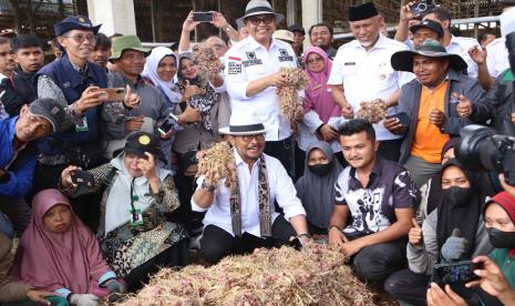 Menteri Pertanian Syahrul Yasin Limpo (Mentan SYL) bersama Gubernur Sumatra Barat, Mahyeldi Ansharullah dan Bupati Solok, Epyardi Asda meninjau kawasan sentra pengembangan bawang merah nasional di Kabupaten Solok sekaligus melakukan panen. 