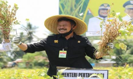 Menteri Pertanian Syahrul Yasin Limpo (Mentan SYL) bersama Gurbenur Sulawesi Barat, Ali Baal Masdar dan didampingi Bupati Polewali Mandar, Andi Ibrahim Masdar, melaksanakan panen komoditas kedelai di Desa Bumiayu, Kecamatan Wonomulyo Kabupaten Polewali Mandar (Polman), Rabu (04/11)