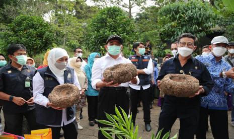 Menteri Pertanian, Syahrul Yasin Limpo (Mentan SYL) dan Menteri Koordinator Bidang Pembangunan Manusia dan Kebudayaan (Menko PMK) Muhadjir Effendy melakukan kunjungan kerja di Desa Klangon, Kecamatan Saradan, Kabupaten Madiun,Jawa Timur. Pada kesempatan tersebut, mereka juga turut mencicipi penganan yang terbuat dari komoditas porang.