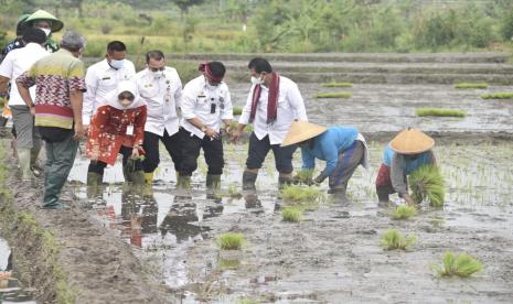 Menteri Pertanian Syahrul Yasin Limpo (Mentan SYL) melakukan tanam padi sekaligus pencanangan perdana indeks pertanaman (IP) 400 atau penanaman 4 kali setahun di Kabupaten Klaten guna menggenjot peningkatan produksi padi. Upaya ini merupakan sebuah terobosan meningkatkan stok beras nasional agar semakin tangguh menghadapi tantangan covid 19 dan perubahan iklim, bahkan untuk mewujudkan Indonesia ekspor beras.